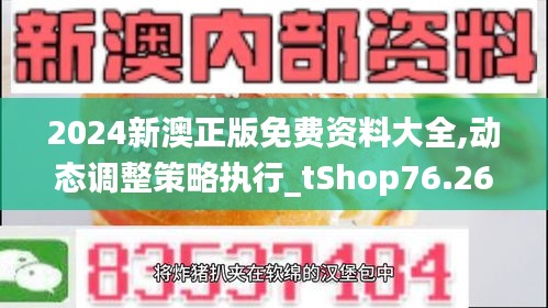 2024新澳正版免费资料大全,动态调整策略执行_tShop76.260-1