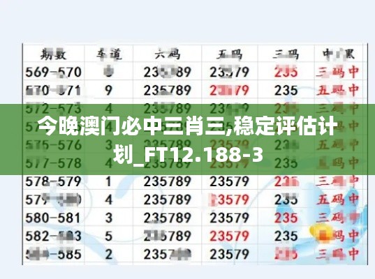 今晚澳门必中三肖三,稳定评估计划_FT12.188-3