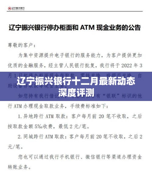 辽宁振兴银行十二月动态深度解读与评测报告