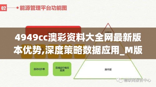 4949cc澳彩资料大全网最新版本优势,深度策略数据应用_M版64.263-6