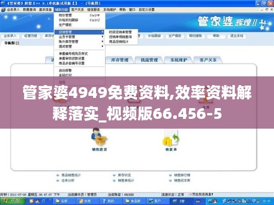 管家婆4949免费资料,效率资料解释落实_视频版66.456-5