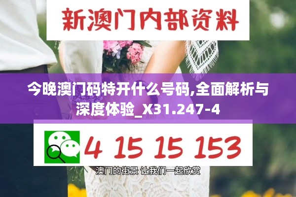 今晚澳门码特开什么号码,全面解析与深度体验_X31.247-4