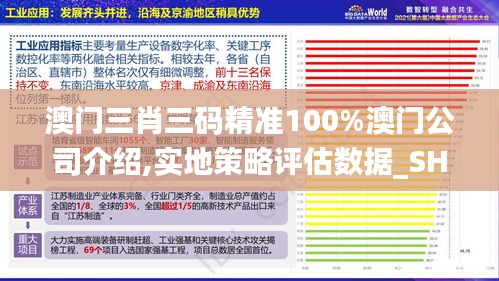 澳门三肖三码精准100%澳门公司介绍,实地策略评估数据_SHD95.196-3