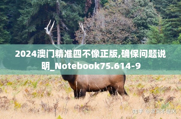 2024澳门精准四不像正版,确保问题说明_Notebook75.614-9