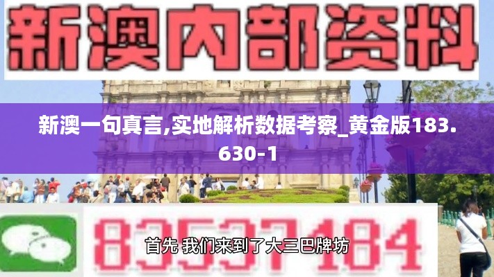 新澳一句真言,实地解析数据考察_黄金版183.630-1