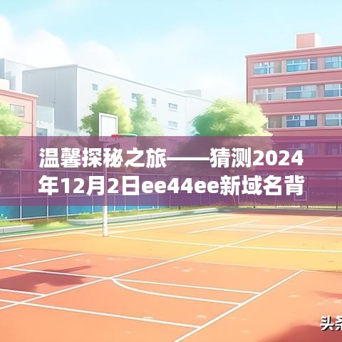 揭秘新域名背后的故事，温馨探秘之旅——ee44ee新域名展望2024年12月2日揭秘之旅