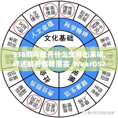 338期今晚开什么生肖出来呢,详述解答解释落实_WearOS24.316-5