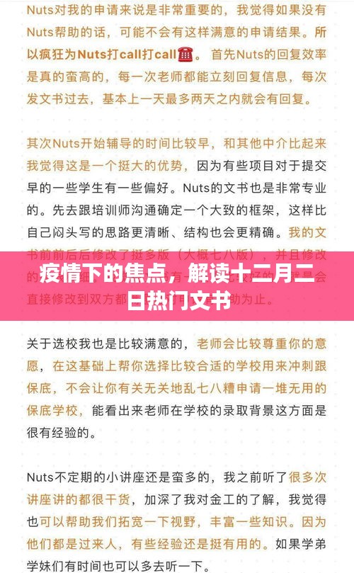 疫情焦点下的深度解读，十二月二日热门文书分析