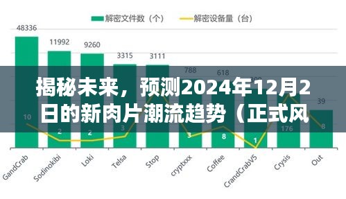 2024年12月3日 第13页