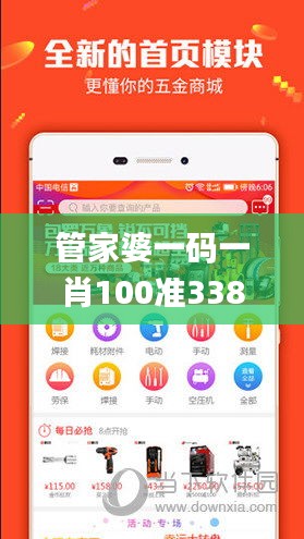 管家婆一码一肖100准338期,未来规划解析说明_户外版88.750-9