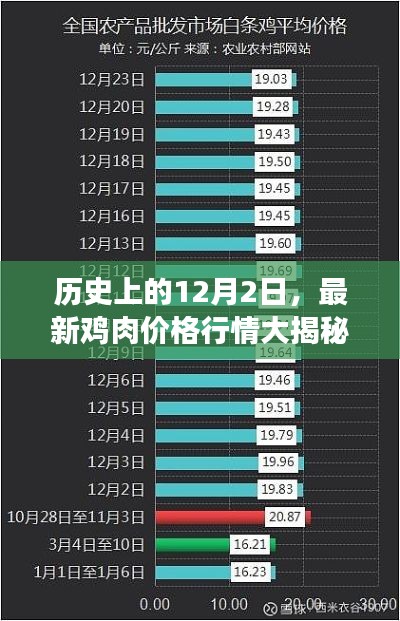 小红书独家揭秘，鸡肉市场最新行情与未来走势预测——历史12月2日深度解析