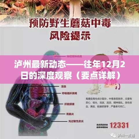 泸州最新动态深度观察，往年12月2日要点详解