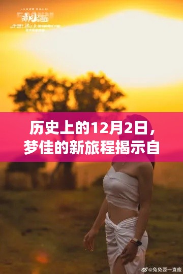 梦佳的新旅程，自然美景的治愈力量与内心平静的奥秘揭秘日（12月2日）