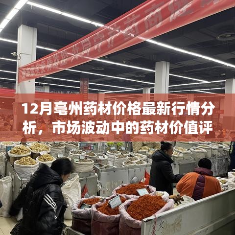 12月亳州药材市场行情分析与价值评估