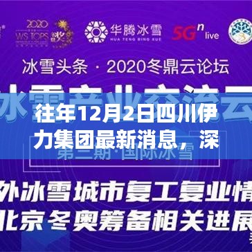 四川伊力集团最新动态，深度分析与观点阐述