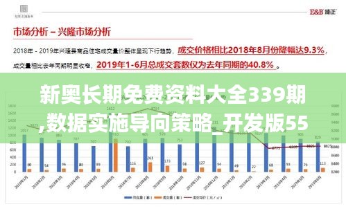 新奥长期免费资料大全339期,数据实施导向策略_开发版55.881-9