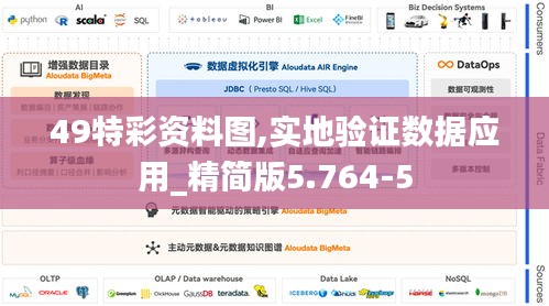 49特彩资料图,实地验证数据应用_精简版5.764-5