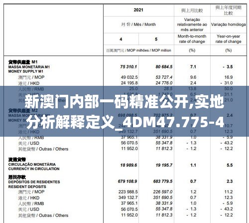 新澳门内部一码精准公开,实地分析解释定义_4DM47.775-4