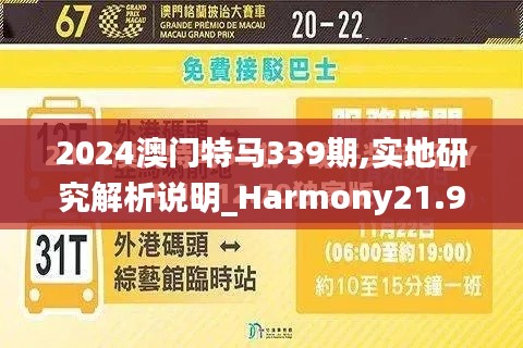 2024澳门特马339期,实地研究解析说明_Harmony21.997-9