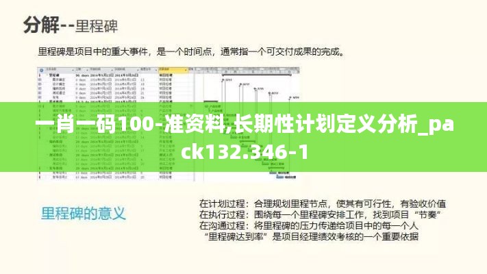 一肖一码100-准资料,长期性计划定义分析_pack132.346-1