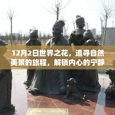 追寻自然美景之旅，解锁内心的宁静与欢笑在12月之花季