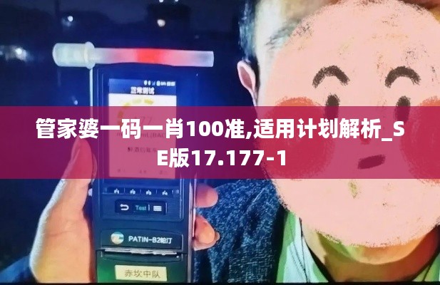 管家婆一码一肖100准,适用计划解析_SE版17.177-1