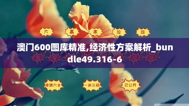 澳门600图库精准,经济性方案解析_bundle49.316-6