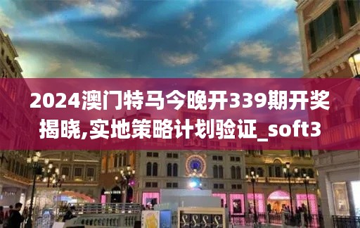 2024澳门特马今晚开339期开奖揭晓,实地策略计划验证_soft33.391-2