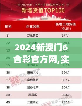 2024新澳门6合彩官方网,实地验证分析数据_Windows110.525-9