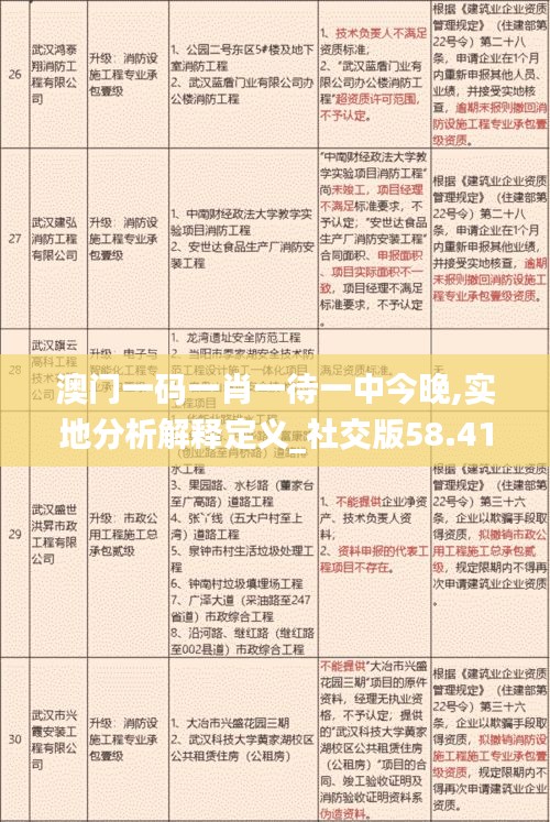 澳门一码一肖一待一中今晚,实地分析解释定义_社交版58.418-3