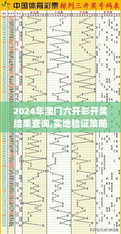 2024年澳门六开彩开奖结果查询,实地验证策略数据_专业款48.753-4