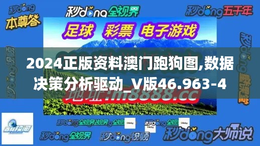 2024正版资料澳门跑狗图,数据决策分析驱动_V版46.963-4