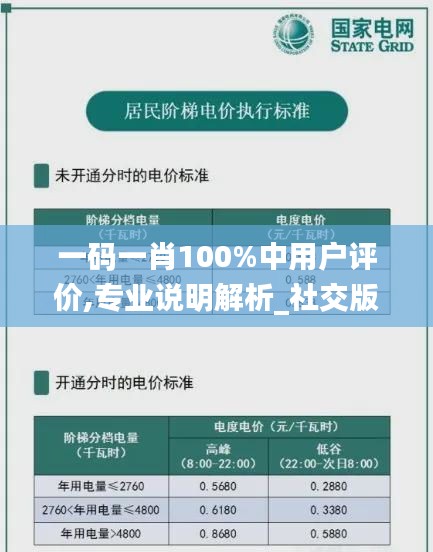 一码一肖100%中用户评价,专业说明解析_社交版95.306-4