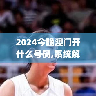 2024今晚澳门开什么号码,系统解答解释定义_移动版85.234-6