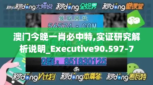 澳门今晚一肖必中特,实证研究解析说明_Executive90.597-7