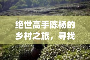 绝世高手陈杨的乡村寻心之旅，自然魔法与内心宁静的探寻