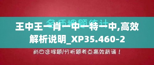 王中王一肖一中一特一中,高效解析说明_XP35.460-2