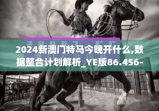 2024新澳门特马今晚开什么,数据整合计划解析_YE版86.456-7