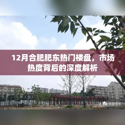 合肥肥东热门楼盘市场热度深度解析