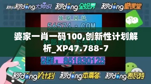 婆家一肖一码100,创新性计划解析_XP47.788-7