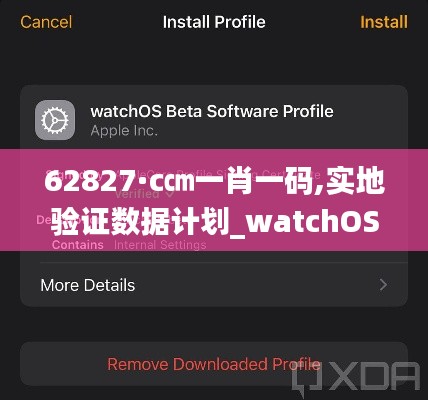 62827·c㎝一肖一码,实地验证数据计划_watchOS95.241-1