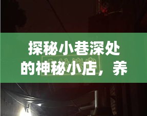 小巷深处的神秘小店，养鬼背后的故事探秘