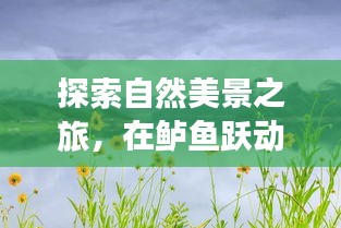 鲈鱼跃动中的自然探索之旅，内心的宁静与快乐寻觅记