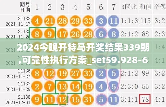 2024今晚开特马开奖结果339期,可靠性执行方案_set59.928-6