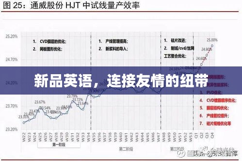 新品英语，连接友情的纽带