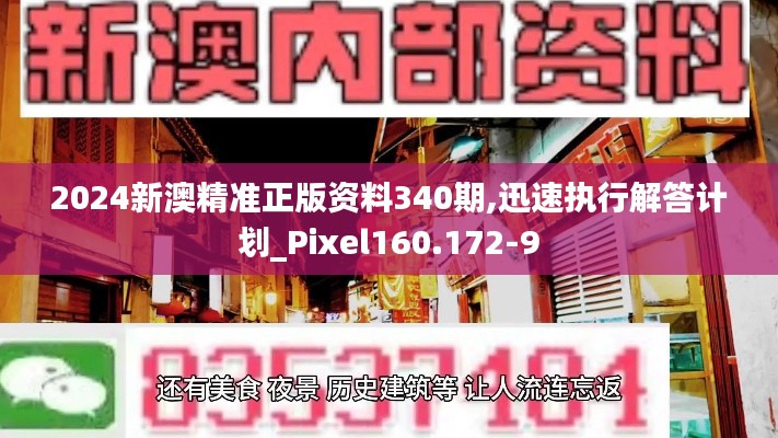 2024新澳精准正版资料340期,迅速执行解答计划_Pixel160.172-9