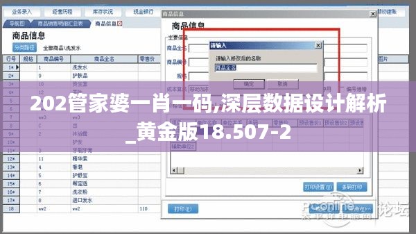 202管家婆一肖一码,深层数据设计解析_黄金版18.507-2