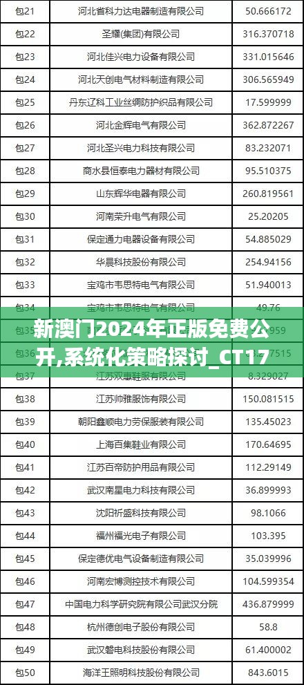 新澳门2024年正版免费公开,系统化策略探讨_CT17.329-1