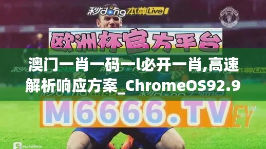 澳门一肖一码一l必开一肖,高速解析响应方案_ChromeOS92.999-8