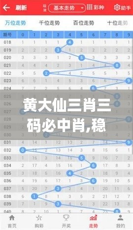 黄大仙三肖三码必中肖,稳定设计解析策略_CT32.306-9